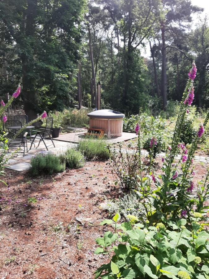 Vakantiehuis Met Hottub En Barrelsauna Ommen Dış mekan fotoğraf
