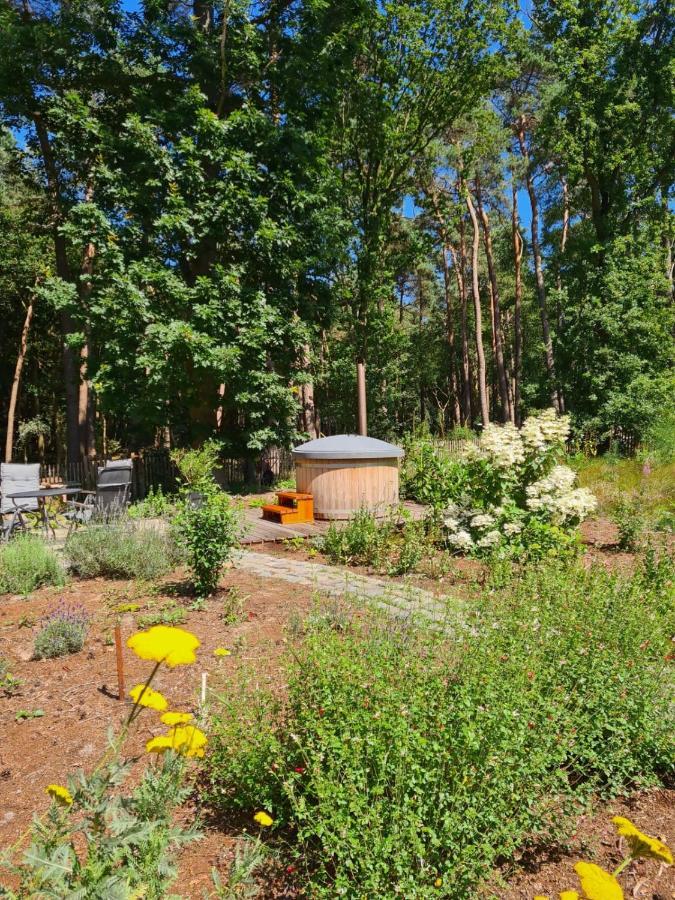 Vakantiehuis Met Hottub En Barrelsauna Ommen Dış mekan fotoğraf