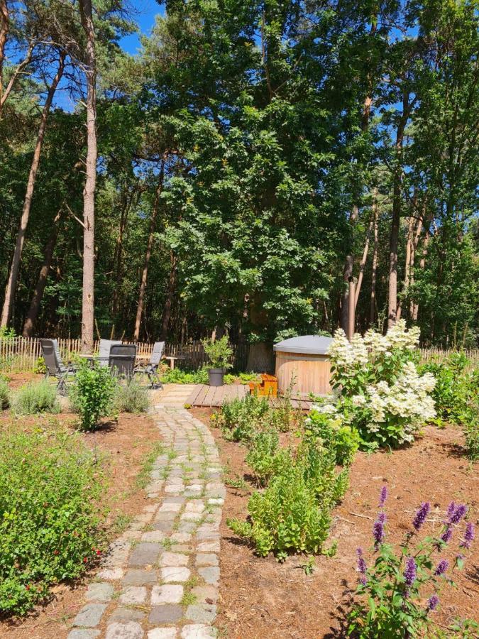 Vakantiehuis Met Hottub En Barrelsauna Ommen Dış mekan fotoğraf